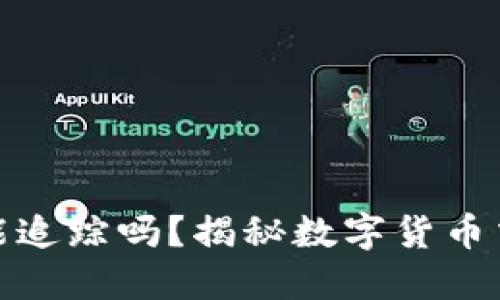 TP钱包转币后能追踪吗？揭秘数字货币交易的神秘面纱