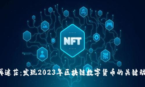 不再迷茫：发现2023年区块链数字货币的关键动态！