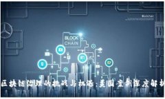 区块链治理的挑战与机遇：美国案例深度解析