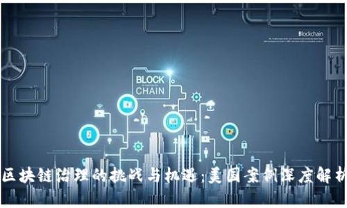 区块链治理的挑战与机遇：美国案例深度解析