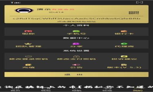 如何轻松查询区块链上的币？揭秘你不知道的实用技巧！