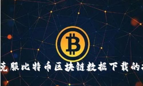 如何克服比特币区块链数据下载的挑战？