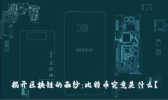 揭开区块链的面纱：比特币究竟是什么？