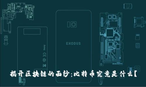 揭开区块链的面纱：比特币究竟是什么？