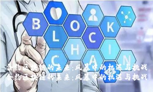 合约区块链的未来：风暴中的机遇与挑战
合约区块链的未来：风暴中的机遇与挑战