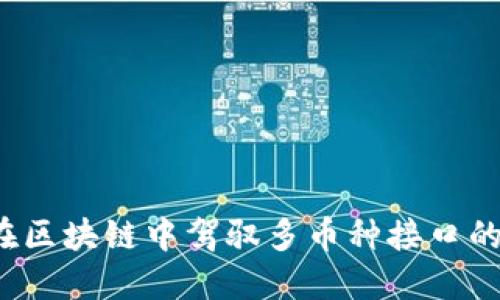 如何在区块链中驾驭多币种接口的挑战？