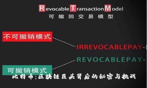 比特币：区块链巨头背后的秘密与挑战