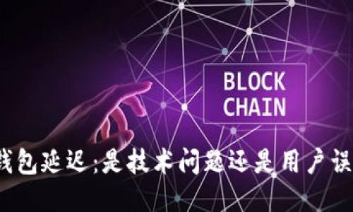 TP钱包延迟：是技术问题还是用户误区?
