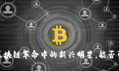 火花币：区块链革命中的新兴明星，能否引领未来？