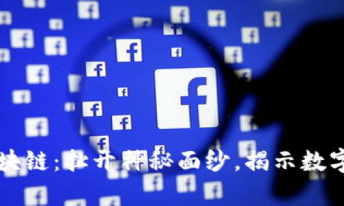 比特币与区块链：扯开神秘面纱，揭示数字货币的真相