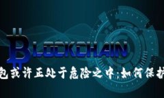 警惕！你的TP钱包或许正处于危险之中：如何保护