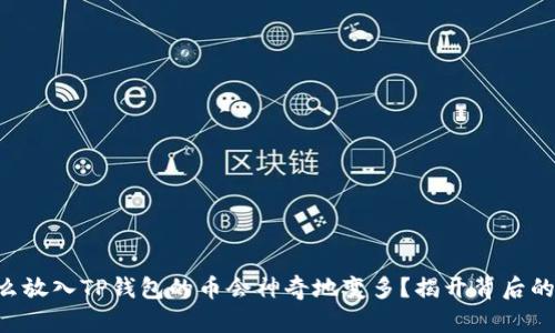 为什么放入TP钱包的币会神奇地变多？揭开背后的秘密！