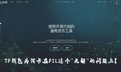 TP钱包为何卡在FIL这个“无解”的问题上？
