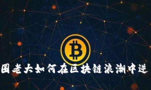 币圈老大如何在区块链浪潮中逆袭？