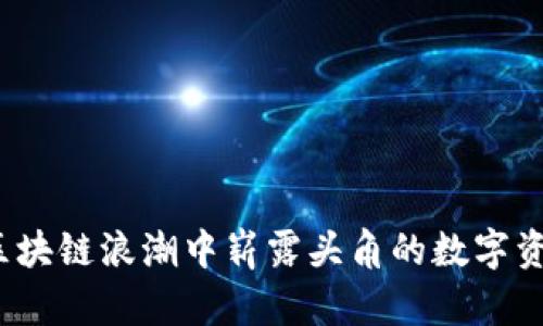 TP钱包：在区块链浪潮中崭露头角的数字资产管理平台