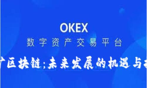 富矿区块链：未来发展的机遇与挑战