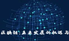 富矿区块链：未来发展的机遇与挑战