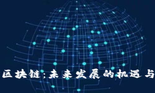 富矿区块链：未来发展的机遇与挑战