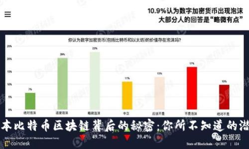 隐藏在日本比特币区块链背后的秘密：你所不知道的潜力与挑战
