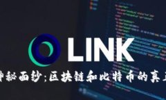 揭开神秘面纱：区块链和比特币的真正面貌