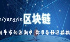 yangyin/yangyin在区块链牛市的浪潮中，你准备好迎