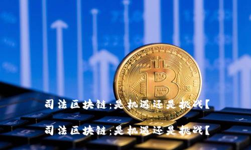 司法区块链：是机遇还是挑战？

司法区块链：是机遇还是挑战？