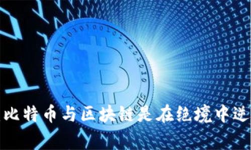 未来已来：比特币与区块链是在绝境中逆袭的赢家？