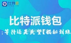 TP钱包提币：等待还是失望？揭秘到账时间的真相