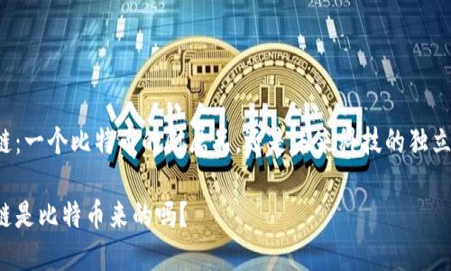 区块链：一个比特币的附属品，还是未来科技的独立巨头？

区块链是比特币来的吗？