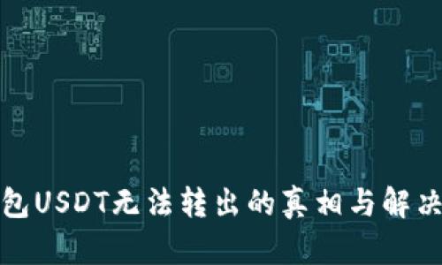 TP钱包USDT无法转出的真相与解决方案