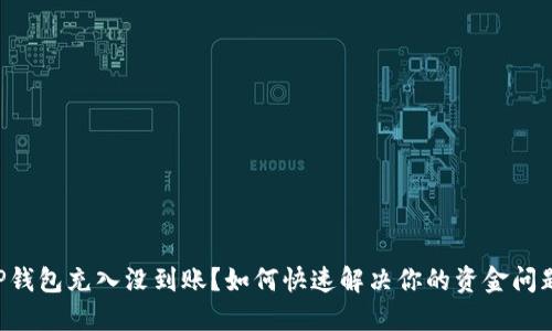 “TP钱包充入没到账？如何快速解决你的资金问题！”