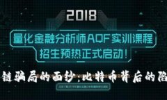 揭开区块链骗局的面纱：比特币背后的陷阱与对