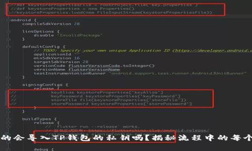 你真的会导入TP钱包的私钥吗？揭秘流程中的每个细节