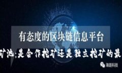 莱特币矿池：是合作挖矿还是独立挖矿的最佳选