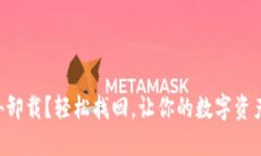 “TP钱包意外卸载？轻松找回，让你的数字资产重