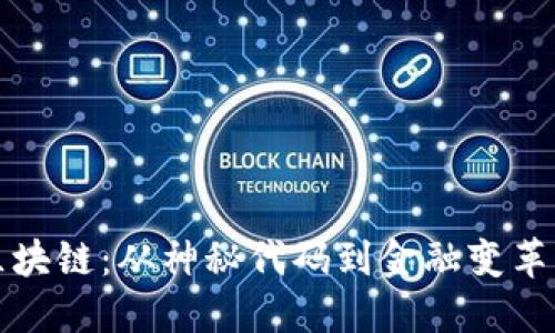 比特币与区块链：从神秘代码到金融变革的历史旅程