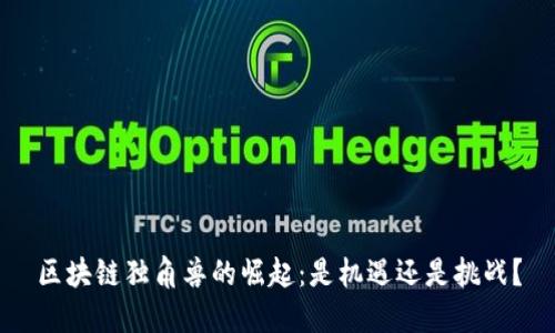 区块链独角兽的崛起：是机遇还是挑战？