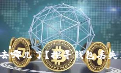 你的区块链资产去哪儿了？探寻钱包丢失真相的背后挑战！