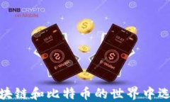 拥抱未来：如何在区块链和比特币的世界中选择