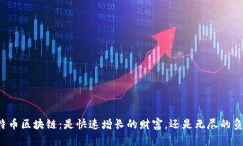 比特币区块链：是快速增长的财富，还是无尽的负担？