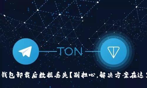 TP钱包卸载后数据丢失？别担心，解决方案在这里！