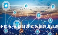 小蚁币：区块链技术的挑战与机遇