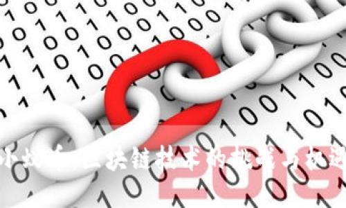 小蚁币：区块链技术的挑战与机遇