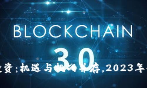 区块链投资：机遇与挑战并存，2023年全景透视