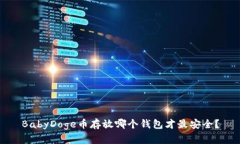 BabyDoge币存放哪个钱包才最安全？