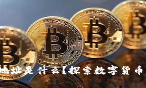 TP钱包收款地址是什么？探索数字货币的收款秘密！