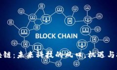 惠城区块链：未来科技的风口，机遇与挑战并存