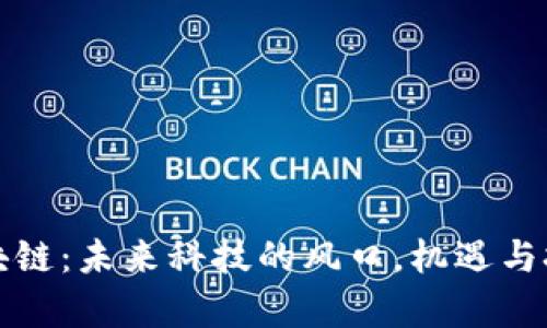 惠城区块链：未来科技的风口，机遇与挑战并存