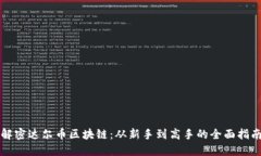 解密达尔币区块链：从新手到高手的全面指南