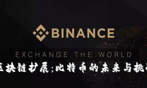 区块链扩展：比特币的未来与挑战